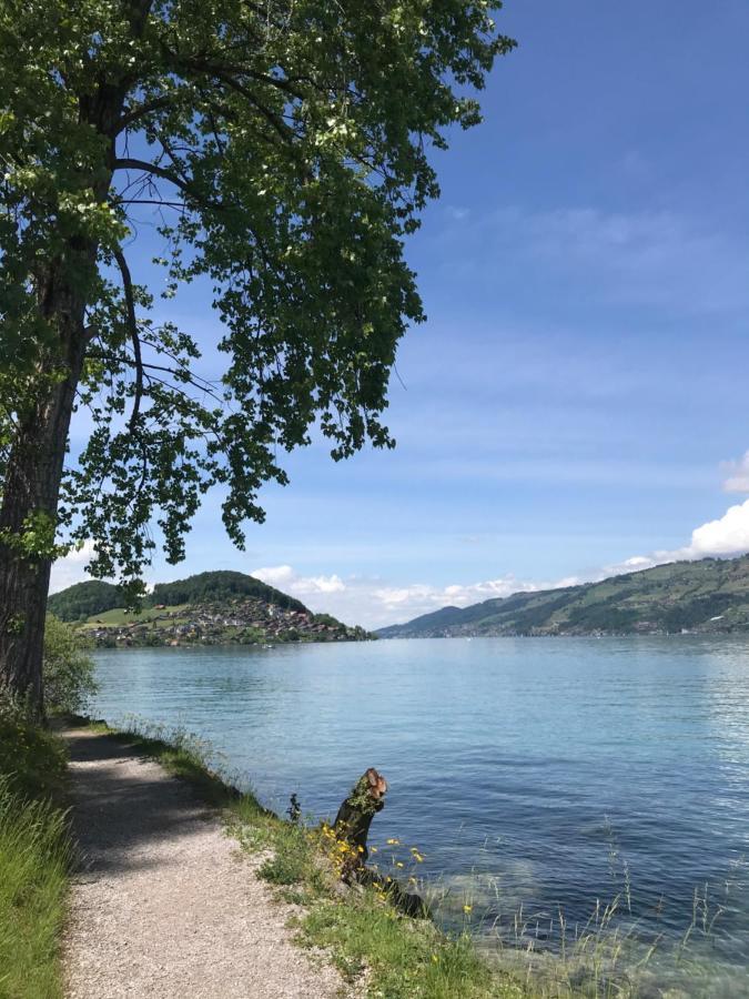 Moderne Unterkunft Mit Panoramablick Auf Thunersee Krattigen Dış mekan fotoğraf