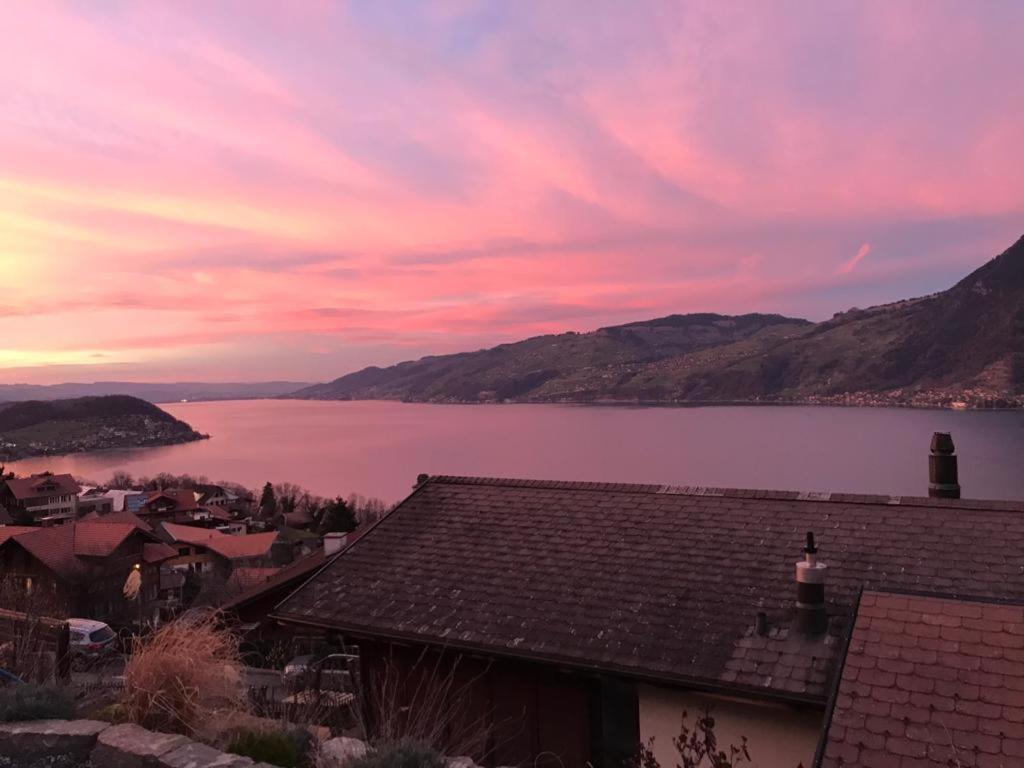 Moderne Unterkunft Mit Panoramablick Auf Thunersee Krattigen Dış mekan fotoğraf